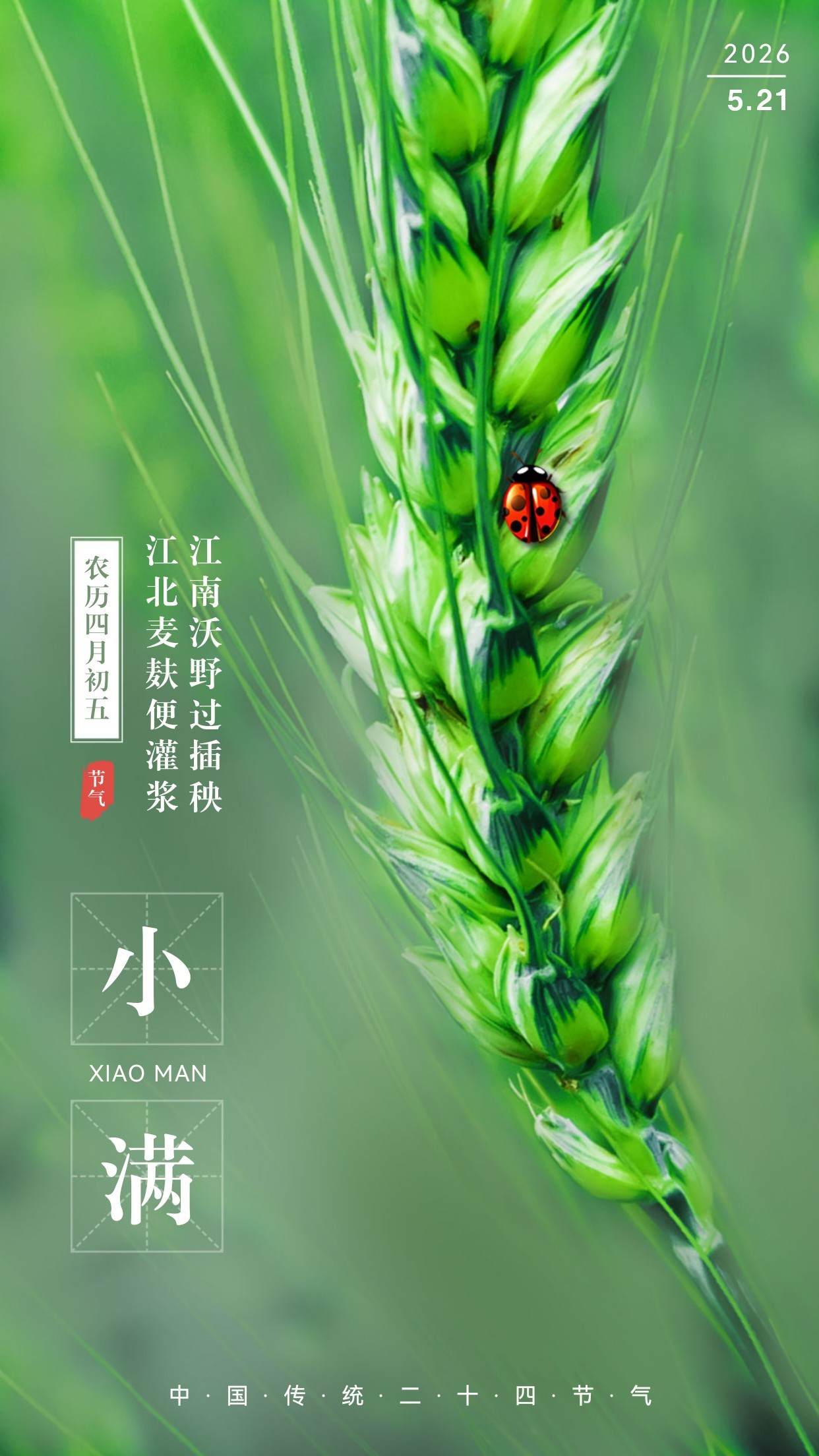 微信圖片_20260521085218_173_24.jpg